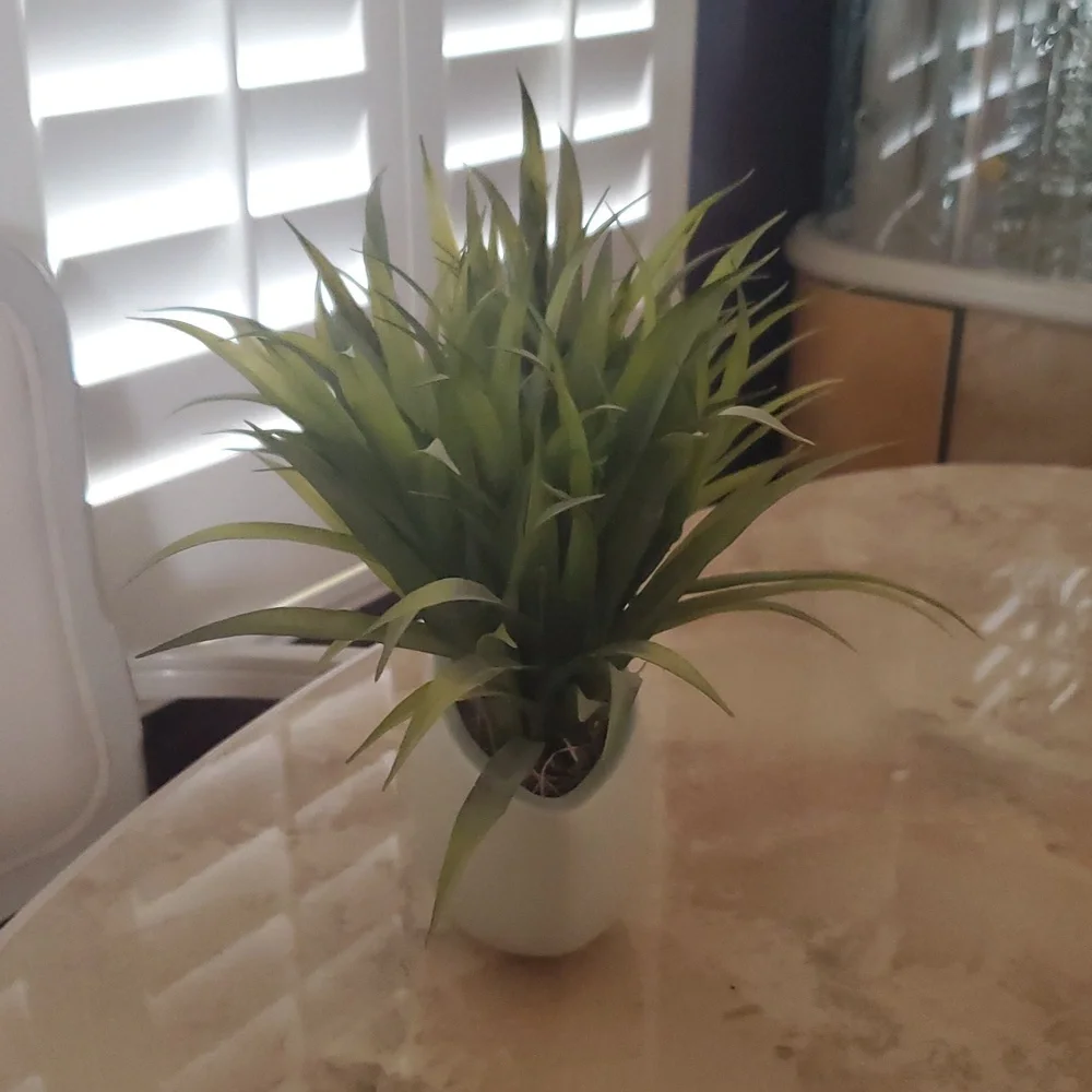 **HOST PICK**Modern Green Artificial Plant in Light Green/Cream Planter Nwot